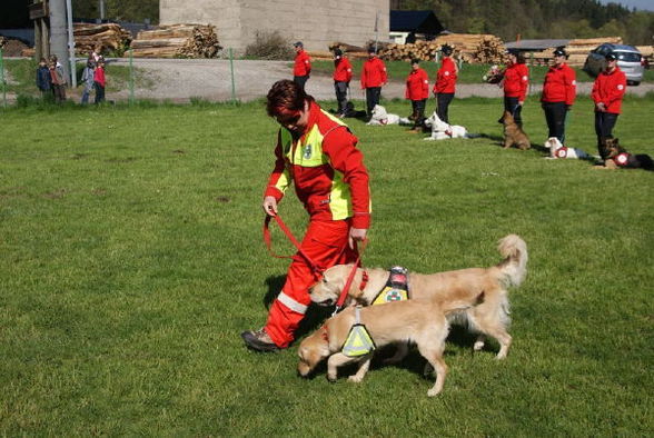 Tag d. Rettungshunde in Gmunden/Pinsdorf - 