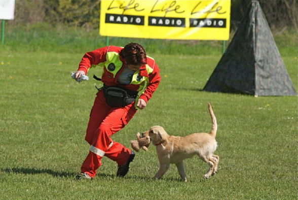 Tag d. Rettungshunde in Gmunden/Pinsdorf - 