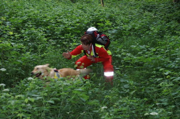 Tag d. Rettungshunde in Gmunden/Pinsdorf - 