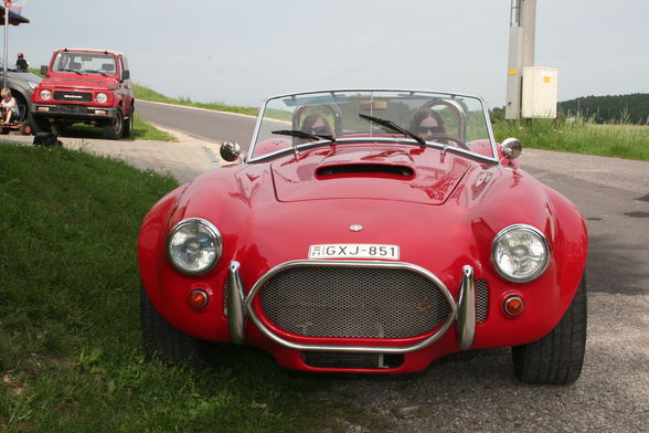 Ford Cobra - 