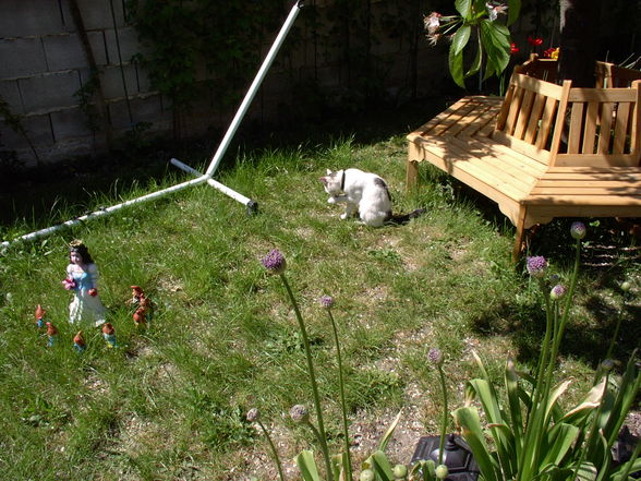 Mein früherer Garten....... - 