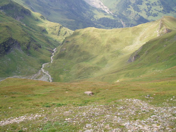 urlaub iN kärntEn - 