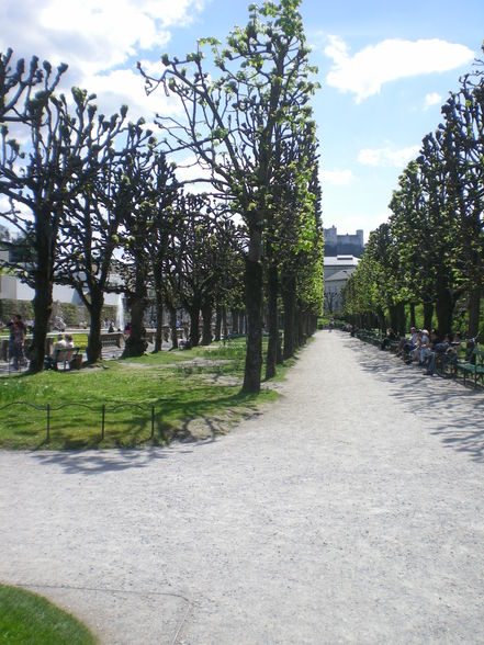 Mirabellgarten!!! - 