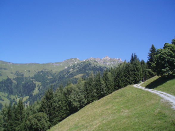 Erlebnis :) zur & auf der Grabnerhütte - 