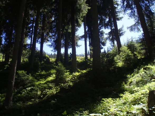 Erlebnis :) zur & auf der Grabnerhütte - 