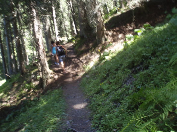 Erlebnis :) zur & auf der Grabnerhütte - 