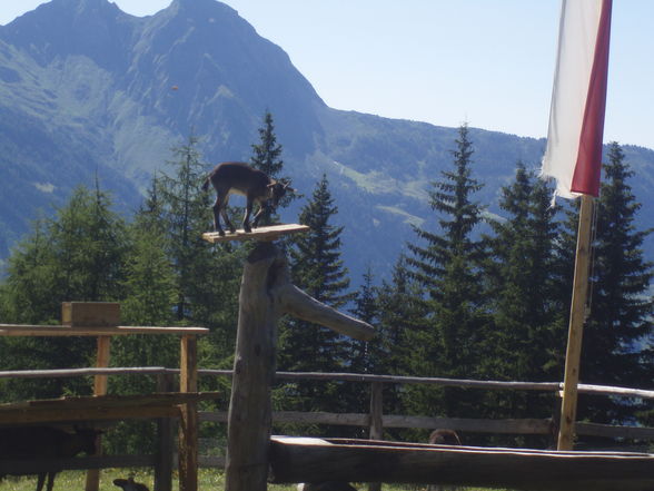 Erlebnis :) zur & auf der Grabnerhütte - 