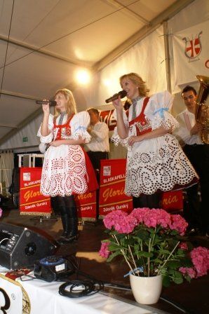 Bezirksmusikfest 2008 - 