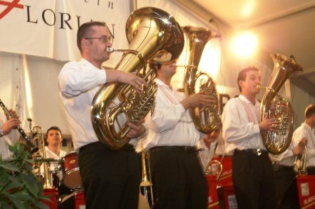 Bezirksmusikfest 2008 - 