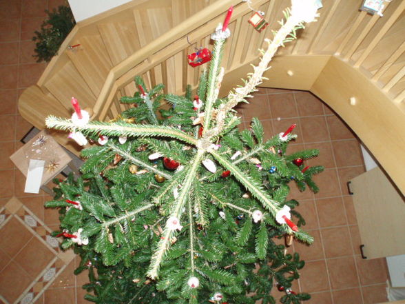 unser Christbaum - 