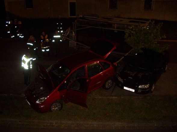 dummheit! - 