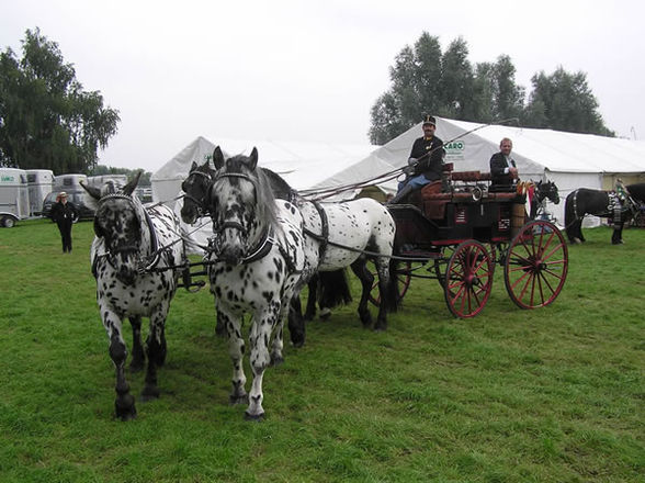 Wir waren beim CHOI in Aachen!!!!! - 