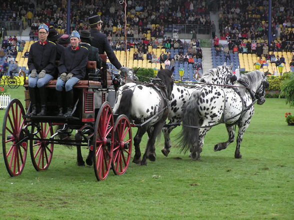 Wir waren beim CHOI in Aachen!!!!! - 