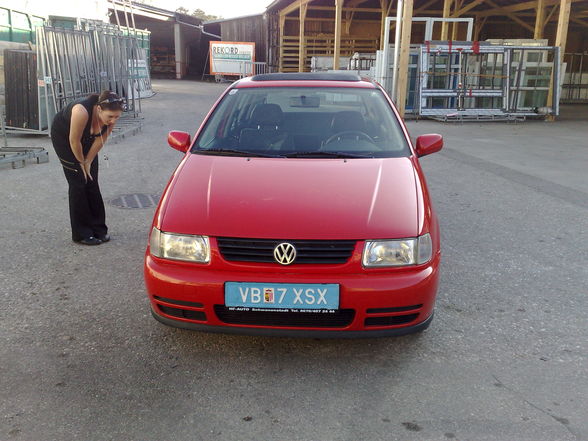 polo 6n - 