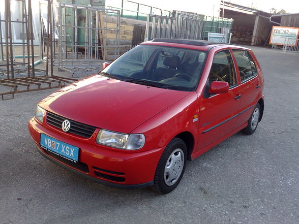 polo 6n - 