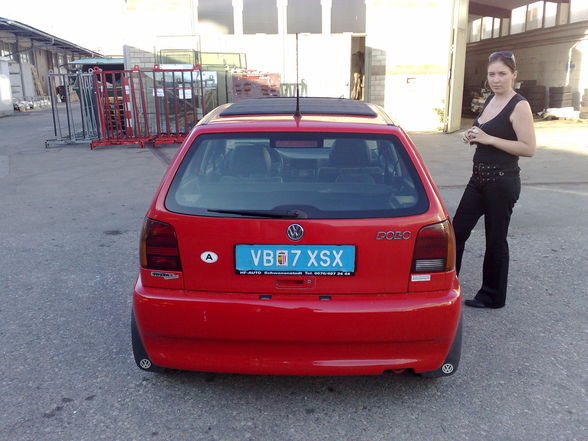 polo 6n - 