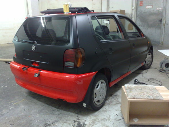 polo 6n - 