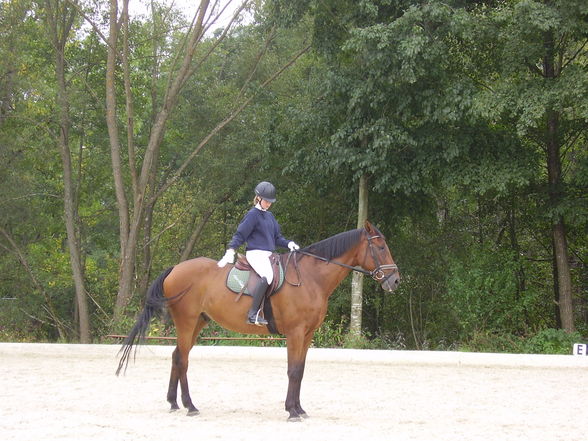 reiten=) - 