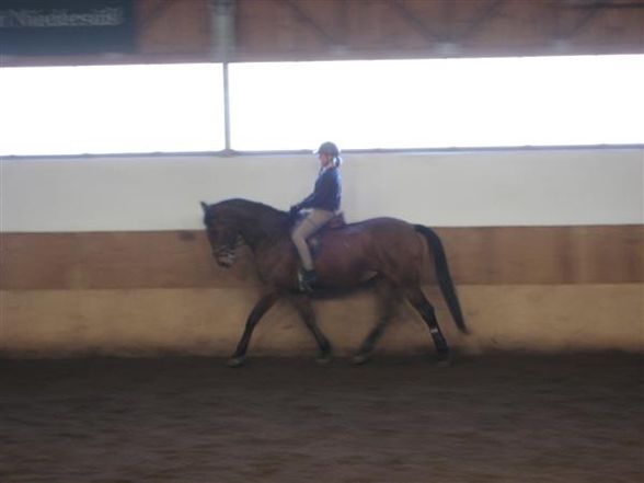 reiten=) - 