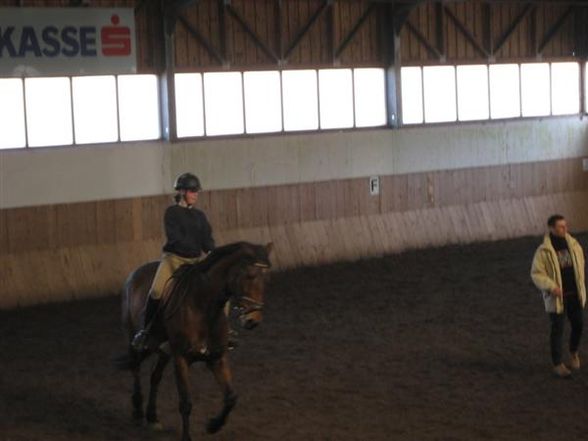 reiten=) - 