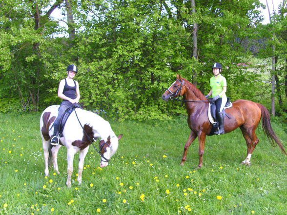 reiten=) - 