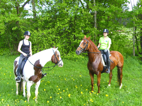 reiten=) - 