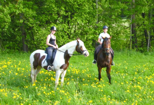 reiten=) - 