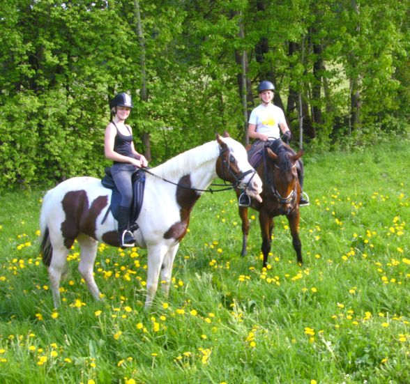 reiten=) - 