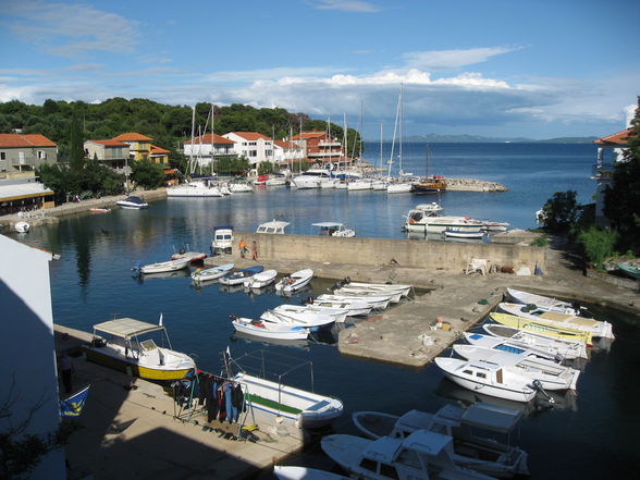 SegeltÃ¶rn 2009 Biograd - 