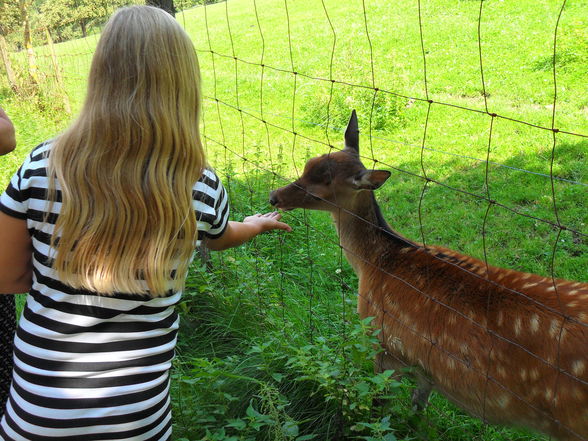 meine süsse tochter - 