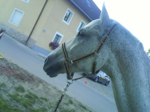 mein neus baby.♥ - 