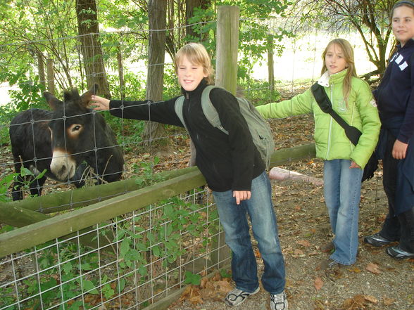 1C at Haid Zoo - Oct. 06 - 