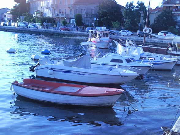 UrLaUb RoViNj  - 