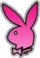 Play Boy Bunnys - 