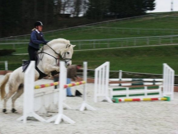 Reiten ;) - 