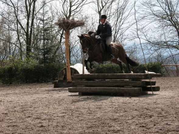 Reiten ;) - 