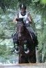 Reiten ;) - 