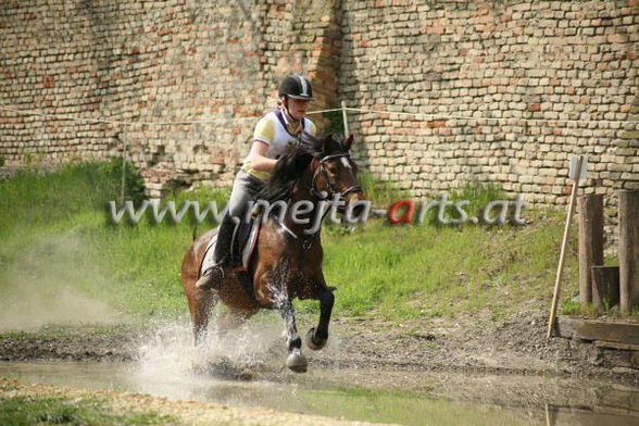 Reiten ;) - 