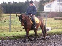 Reiten ;) - 