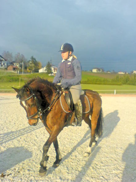 Reiten ;) - 