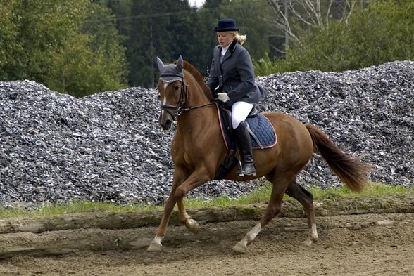 Reiten ;) - 