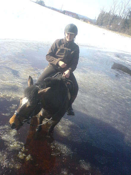 Reiten ;) - 