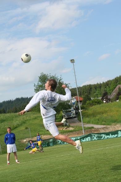 Faustball Landesliga Herren - 