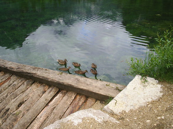 2009 Ausflüge,Wanderungen usw - 