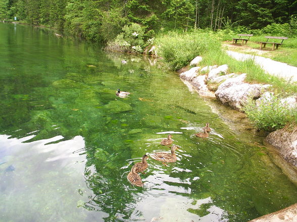 2009 Ausflüge,Wanderungen usw - 