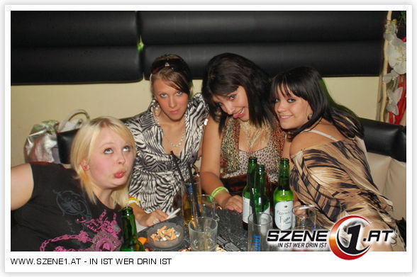 welser partys - 