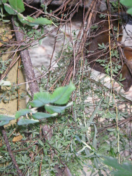 Tiergartenschönbrunn - 