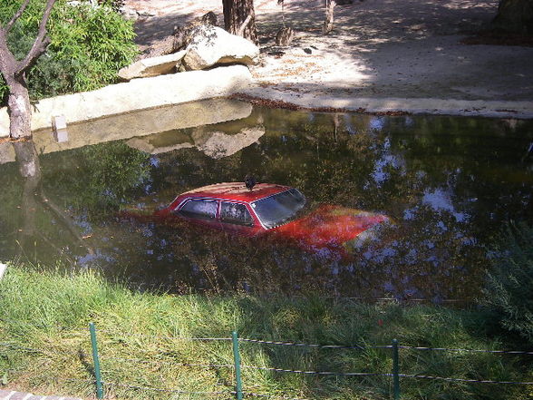 Tiergartenschönbrunn - 