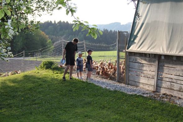 Eierspeiß kochen bei Kunde Weißhäupl - 