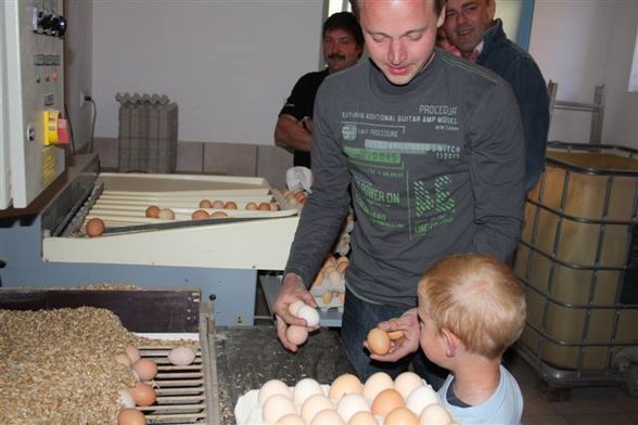 Eierspeiß kochen bei Kunde Weißhäupl - 